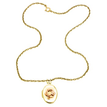 9ct gold Clogau Locket with chain